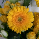 Elegant Yellow Flower Bouquet 