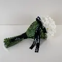 Classic Whisper (White, Tulips).webp