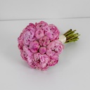 Peony Elegance Bridal Bouquet