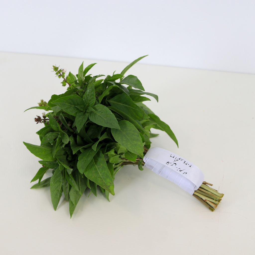 مسكة عروس مشموم