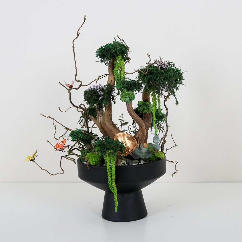 غابة المساء