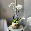 White Orchid Charm 
