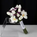 صفاء البنفسج 