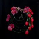  Bride Bouquet Orchid & Tulip Harmony