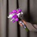 مسكة الكالا والتوليب البنفسجي