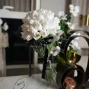 همسة كلاسيكية