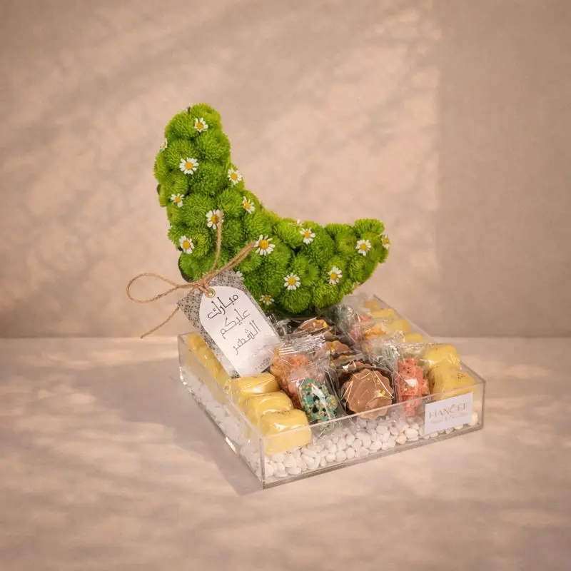 أنوار الهلال