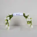  Pure Tulip Bridal Bouquet