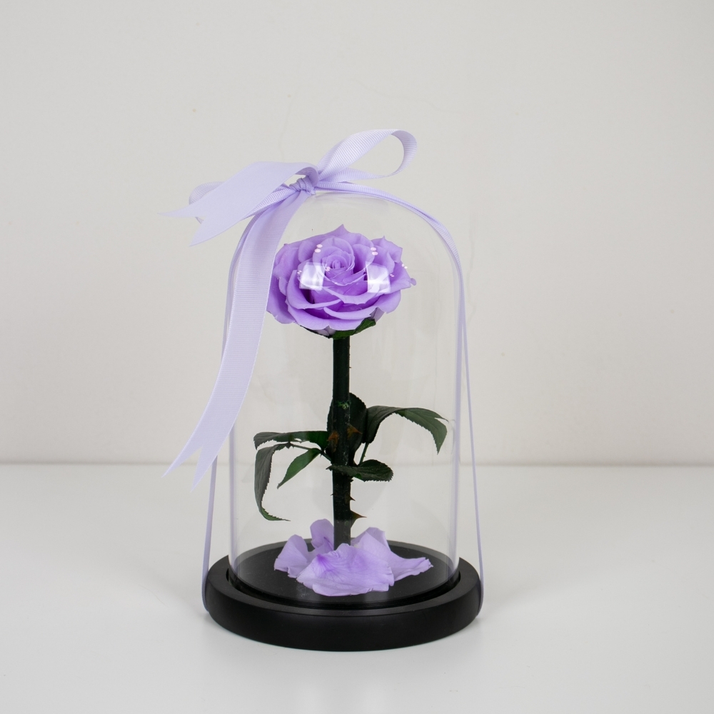 Long Lasting Purple Rose In Glass Dome