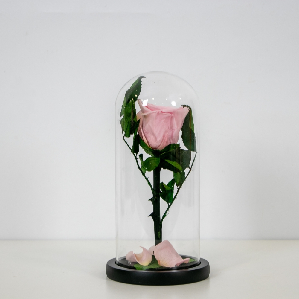 Eternal Rose