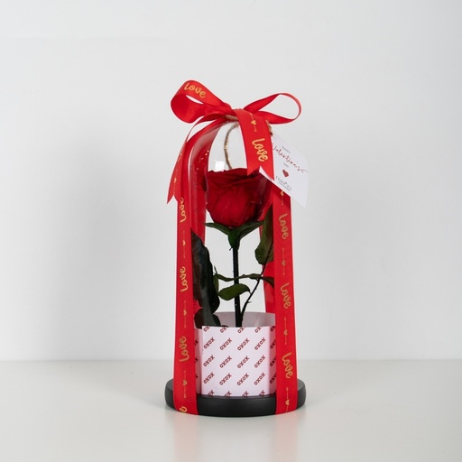 وردة الحب الابدي الحمراء