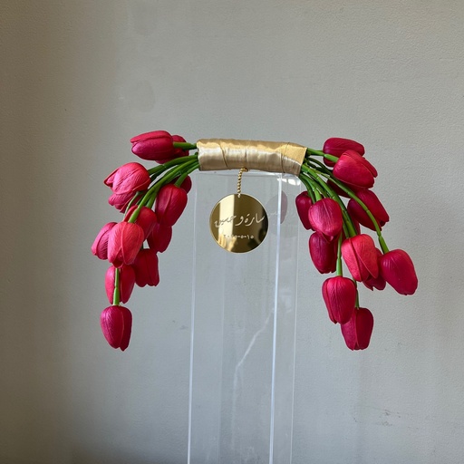 Modern Pink Tulip Arc 