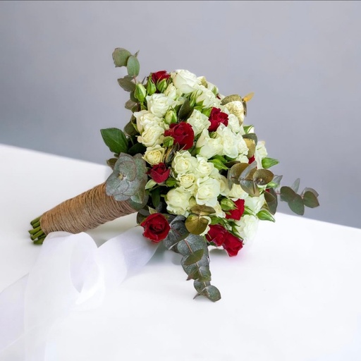 رومانسية الاكالبتوس