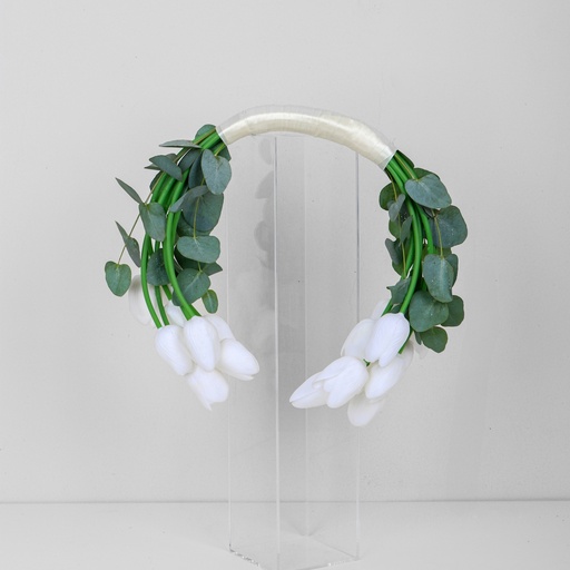 توليب الحفل 