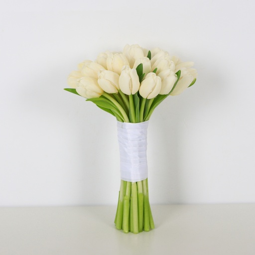  Bride of Serenity Tulip