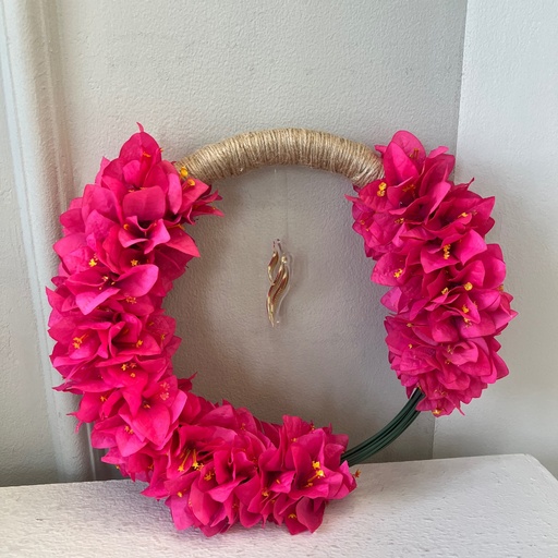 Bougainvillea Halo 