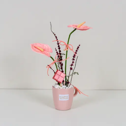 كوب نور الأمل