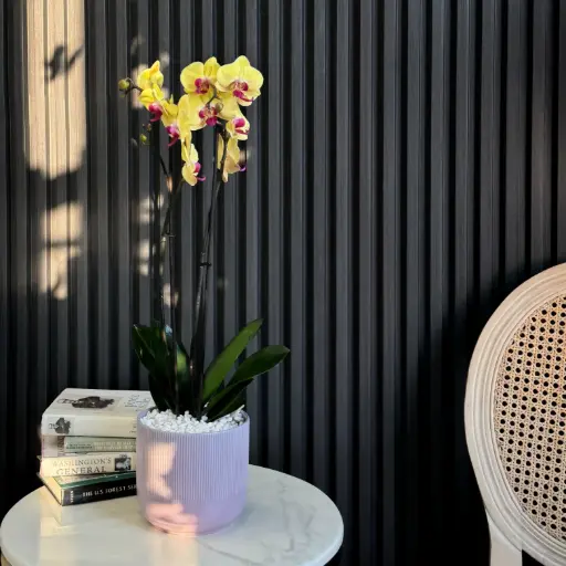 Yellow Orchid Vase