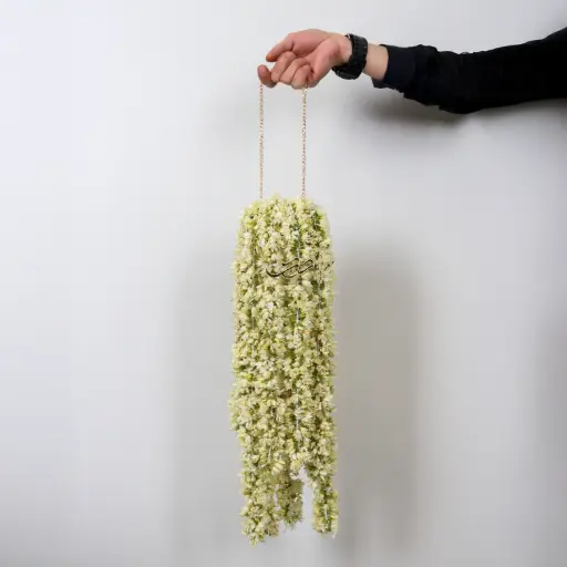 مسكة عروس شلال الياسمين