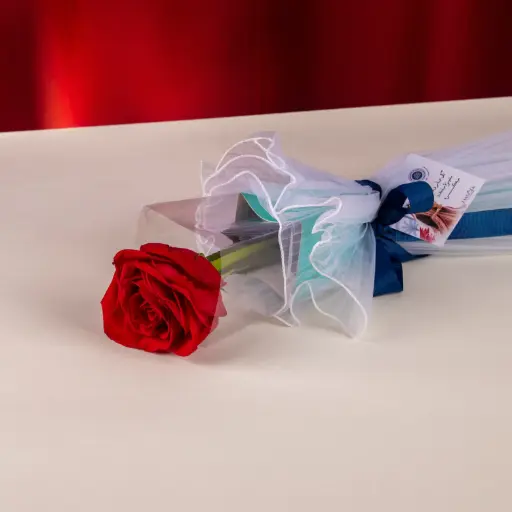  Bahraini Women’s Day Rose