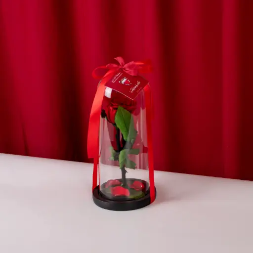 وردة طويلة الأمد العيد الوطني