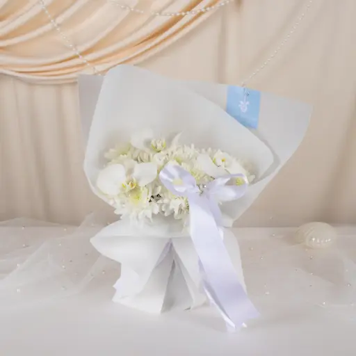 نقاء العام الجديد 