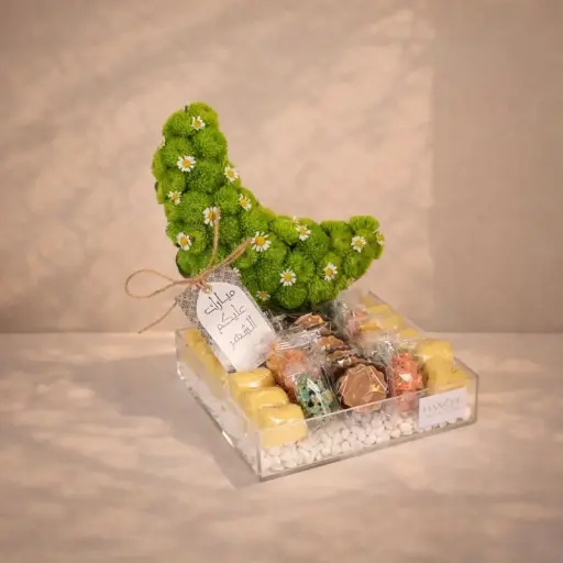 أنوار الهلال