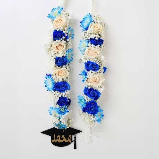 Graduated Necklace - Blue