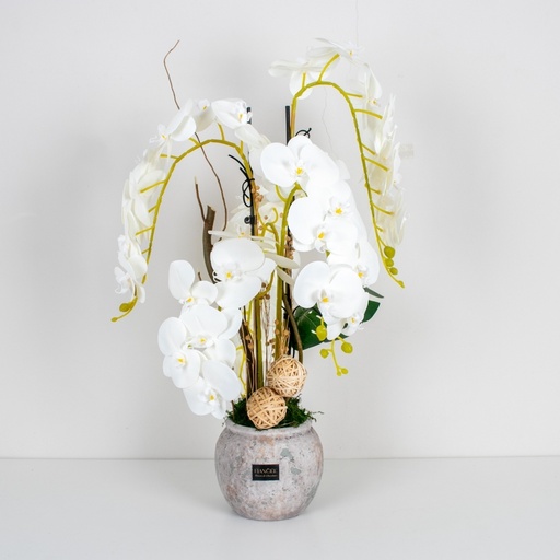 White Orchid Elegance Vase