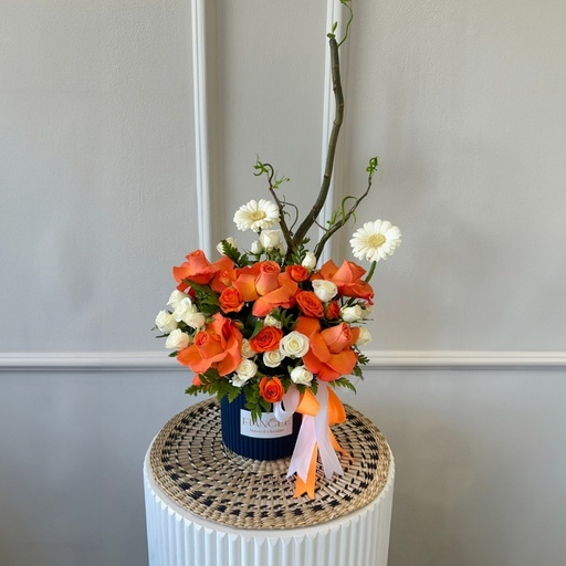 ألوان الشروق