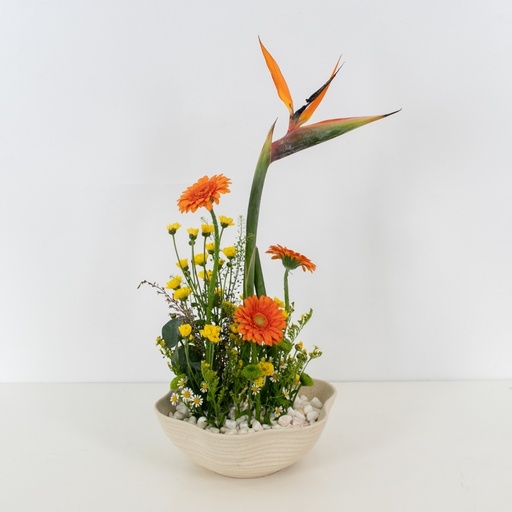 Tropical Beauty Vase