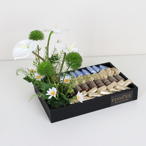 Choco Elegance Tray 