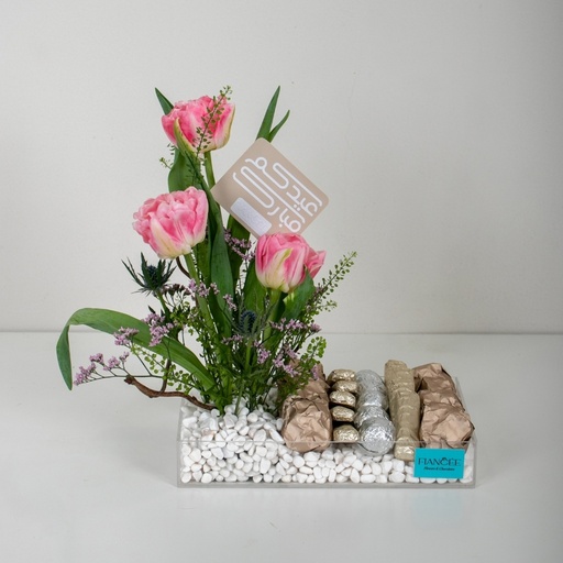 Choco Tulip Elegance