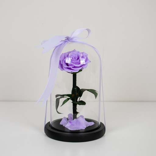 Long Lasting Purple Rose In Glass Dome