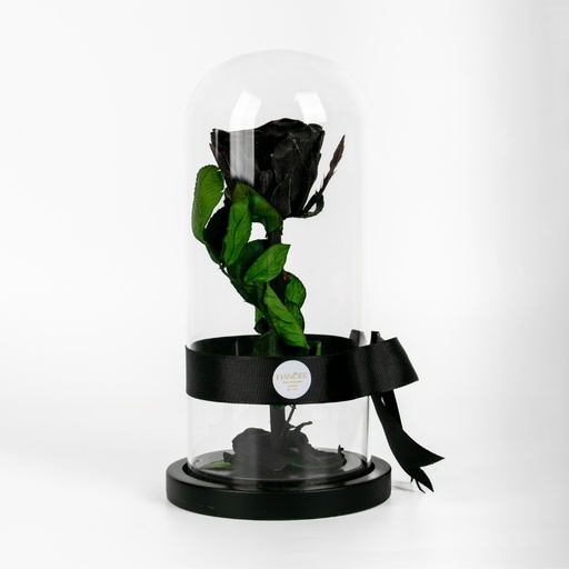 Long Lasting Black Roses In A Glass Dome - Small Size