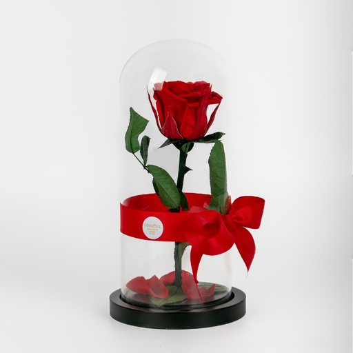 Long Lasting Red Roses In A Glass Dome - Small Size